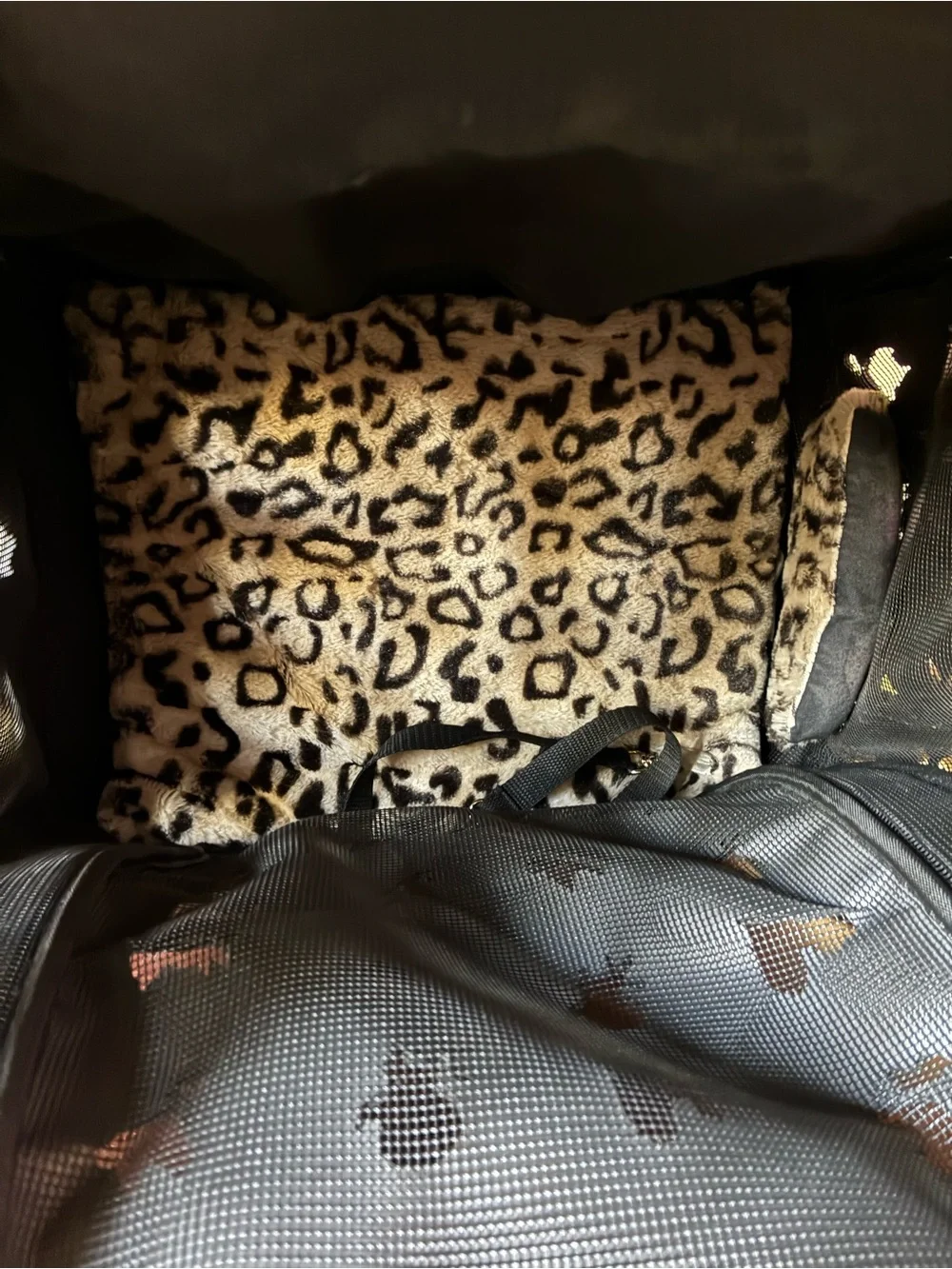 Mystere Shopper Rolling Pet Carrier by JCLA- Jeanne Chinn Los Angeles